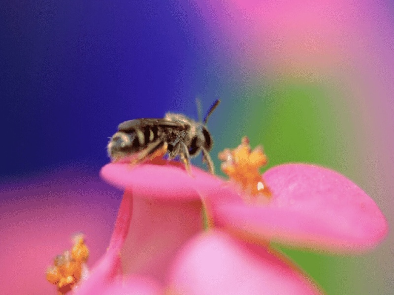 在职泰国试管流程试管婴儿佩佩故事余之余试管